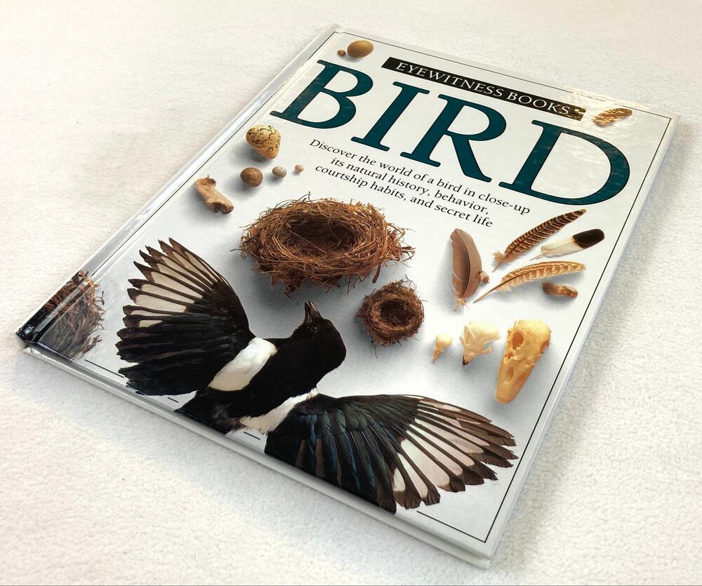 Bird Eyewitness Books DK Eyewitness Hardcover Book ISBN 039489619X Vintage 1988